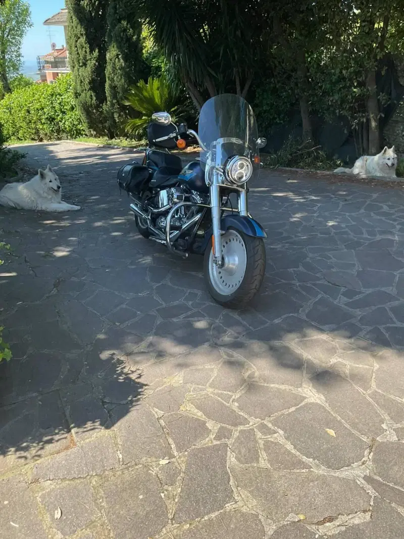 Harley-Davidson 1584 Fat Boy (2008 - 10) - FLSTF (7)