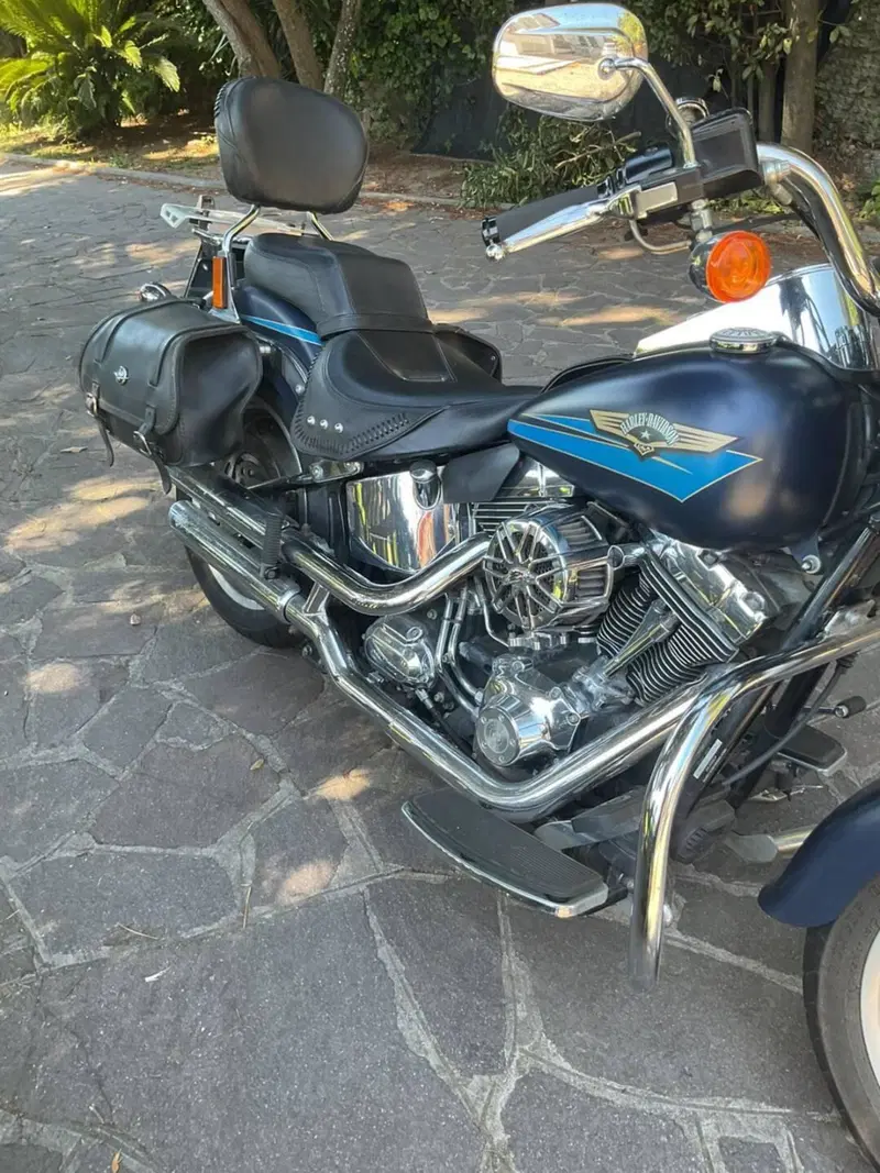 Harley-Davidson 1584 Fat Boy (2008 - 10) - FLSTF (3)
