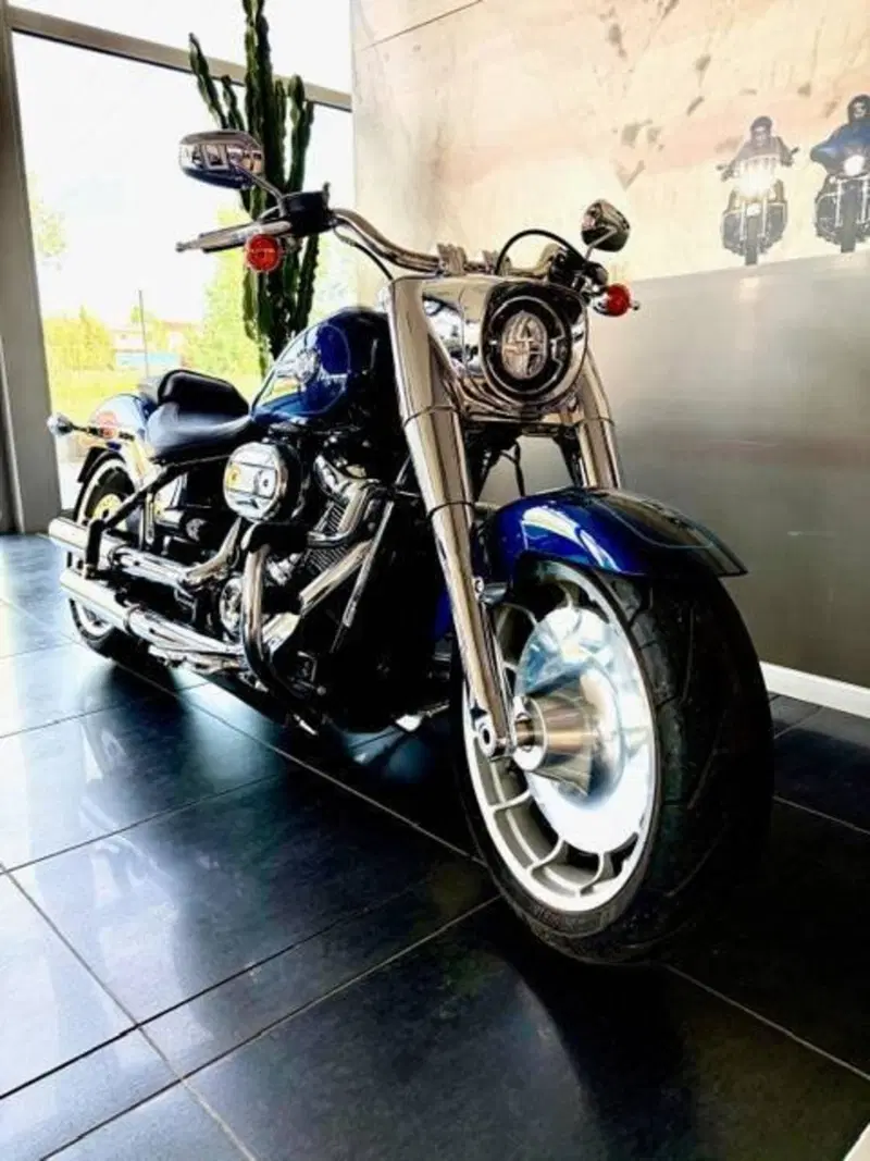 Harley-Davidson Fat Boy 114 (2021 - 24) (4)
