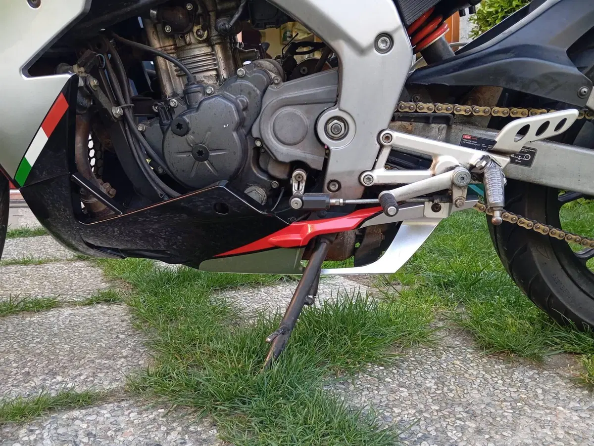 Aprilia RS 125 (2006 - 14) (7)