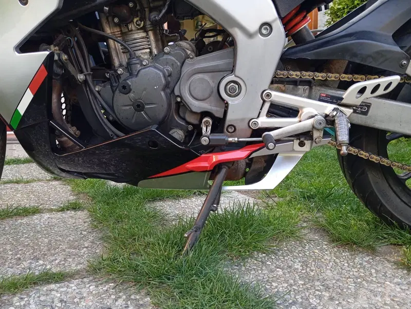 Aprilia RS 125 (2006 - 14) (7)