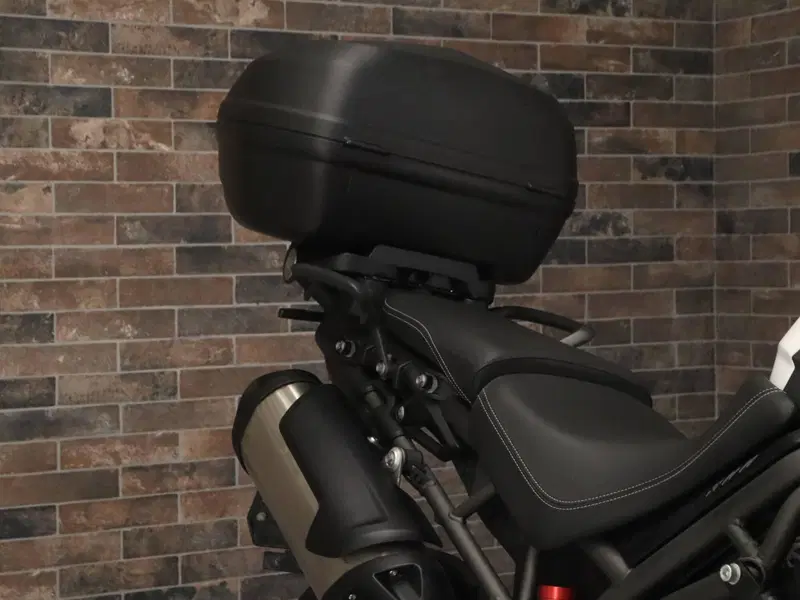 Triumph Tiger 800 XRx (2015 - 17) (13)