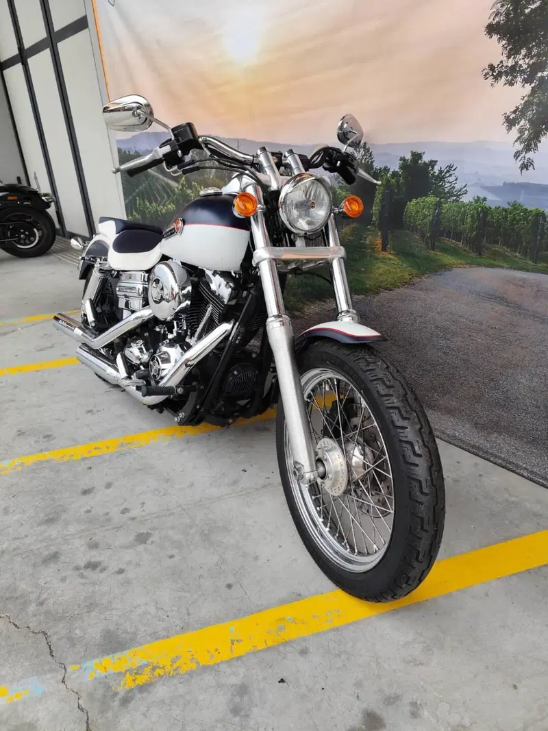 Harley-Davidson 1584 Street Bob (2008 - 15) - FXDB (3)