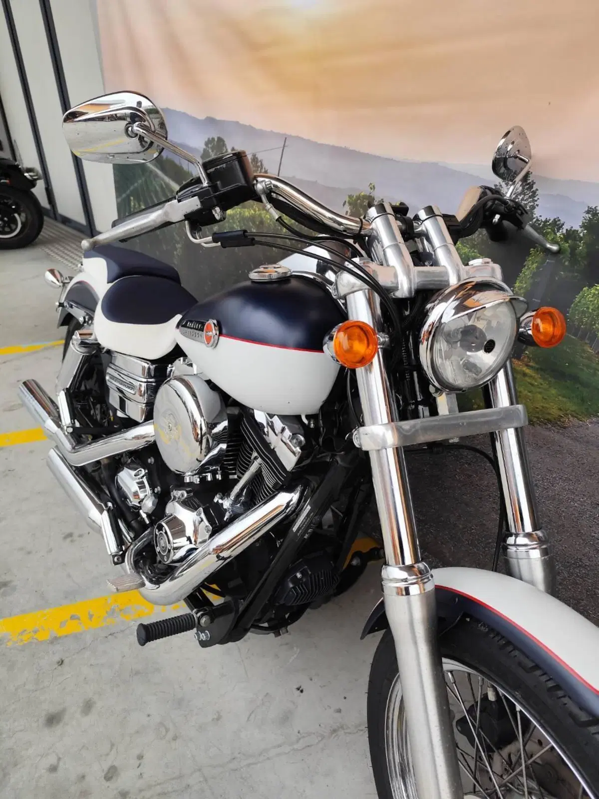 Harley-Davidson 1584 Street Bob (2008 - 15) - FXDB (8)