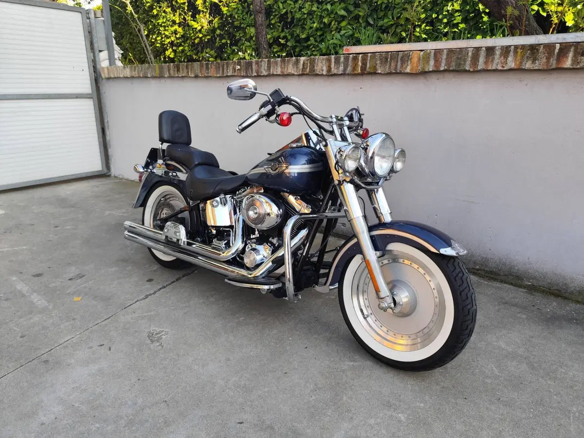 Harley-Davidson 1450 Fat Boy (2003 - 06) - FLSTFI (2)