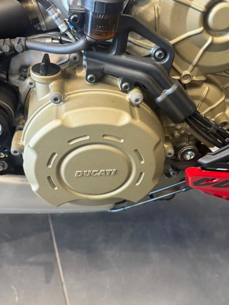 Ducati Streetfighter V4 (2023 - 24) (4)
