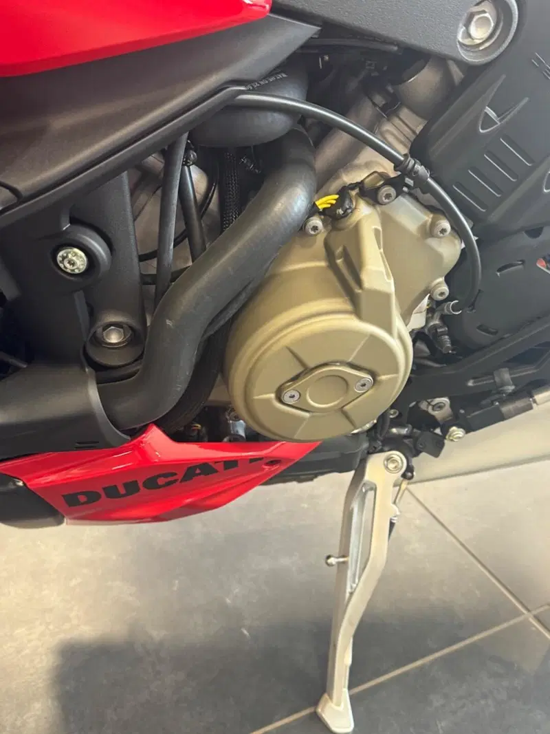Ducati Streetfighter V4 (2023 - 24) (6)