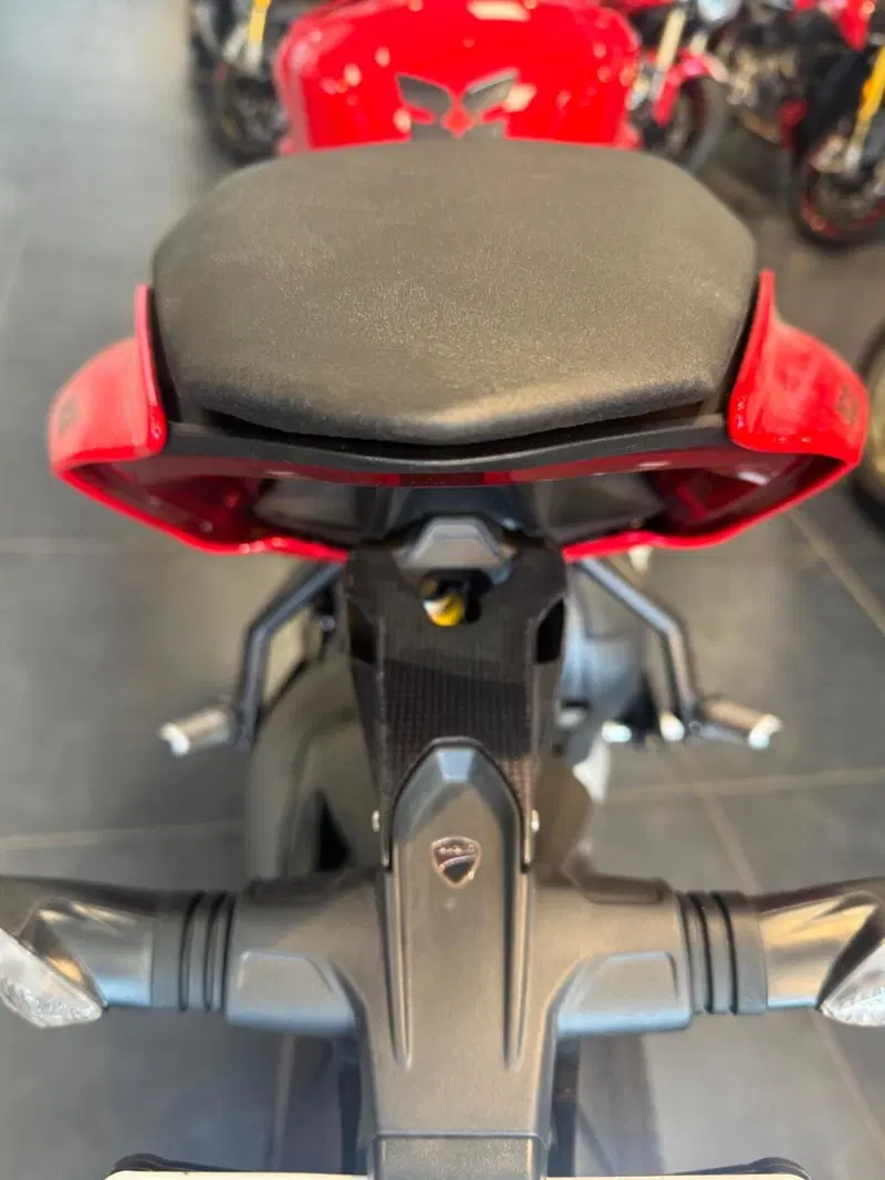 Ducati Streetfighter V4 (2023 - 24) (8)