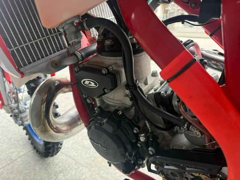 Betamotor RX 300 2T (2024 - 25) (3)