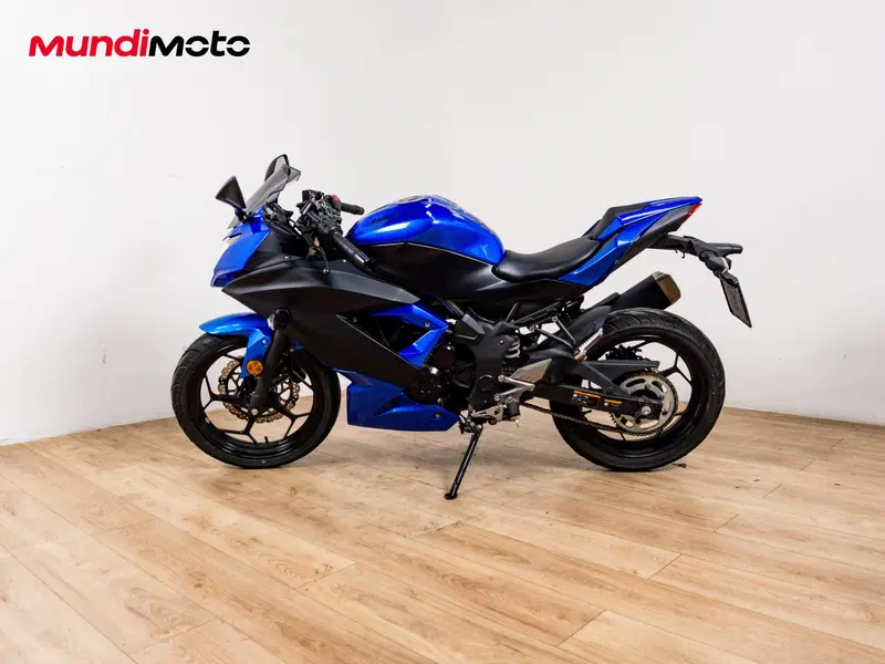 Kawasaki Ninja 300 ABS (2012 - 16) (5)