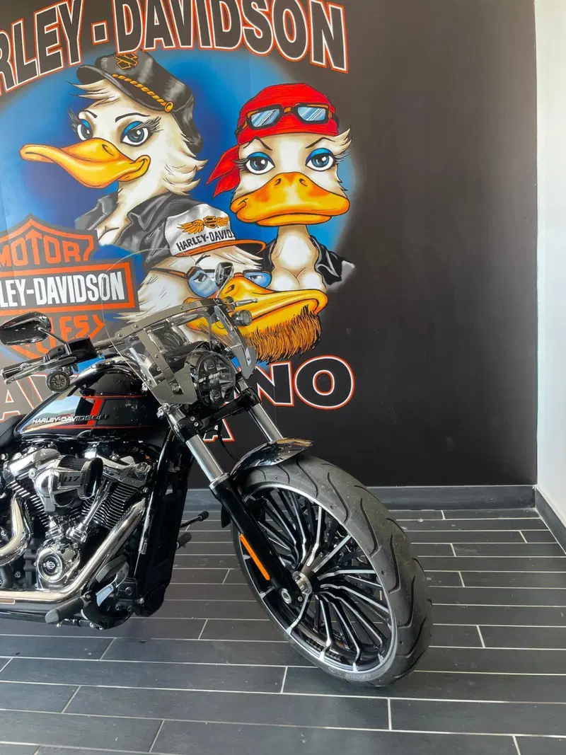 Harley-Davidson Breakout 117 (2023 - 24) (7)