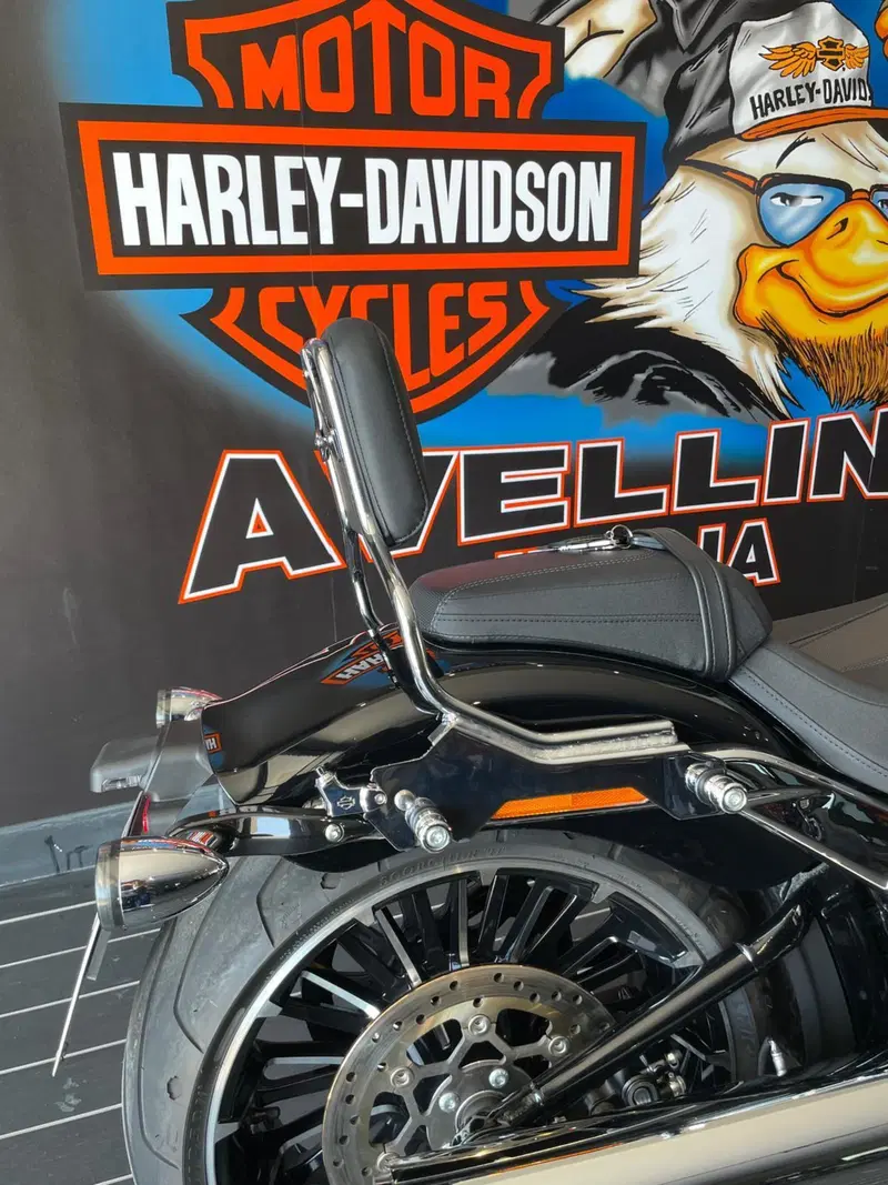 Harley-Davidson Breakout 117 (2023 - 24) (5)
