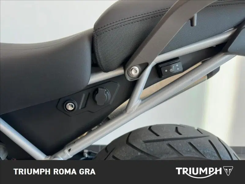 Triumph Tiger 900 GT Pro (2020 - 23) (13)