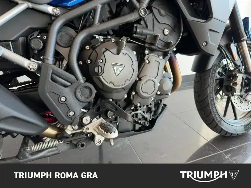 Triumph Tiger 900 GT Pro (2020 - 23) (7)