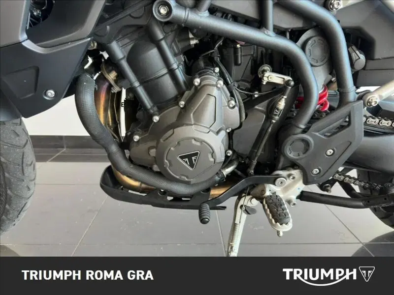 Triumph Tiger 900 GT Pro (2020 - 23) (11)