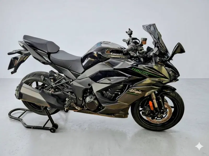 Kawasaki Ninja 1100 SX Tourer (2025 - 26)