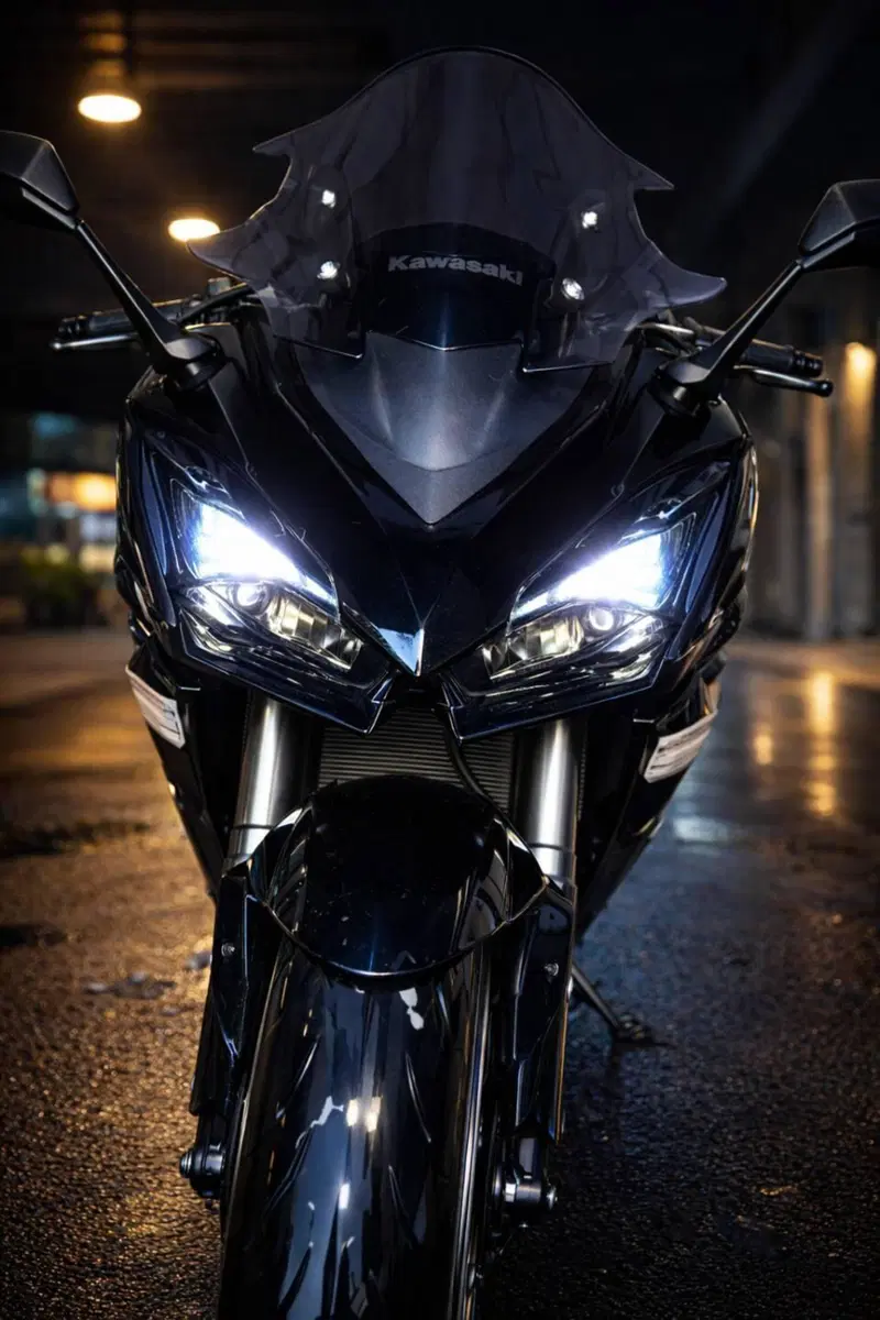 Kawasaki Ninja 1100 SX Tourer (2025 - 26) (3)