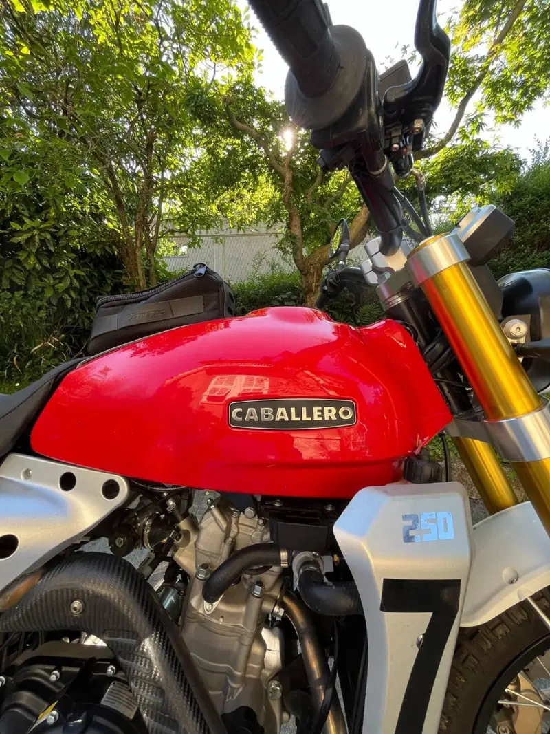 Fantic Motor Caballero 250 Scrambler 4T (2018 - 21) (10)