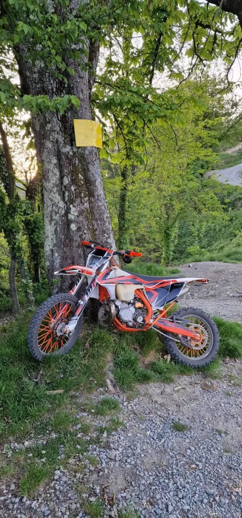 KTM 250 EXC TPI Six Days (2019)