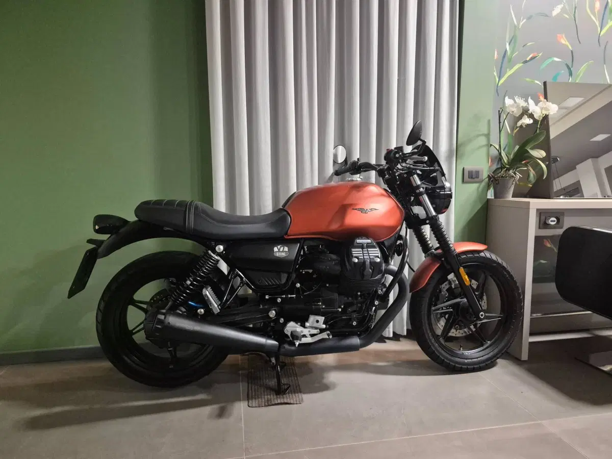 Moto Guzzi V7 Stone Centenario (2021 - 22) (7)