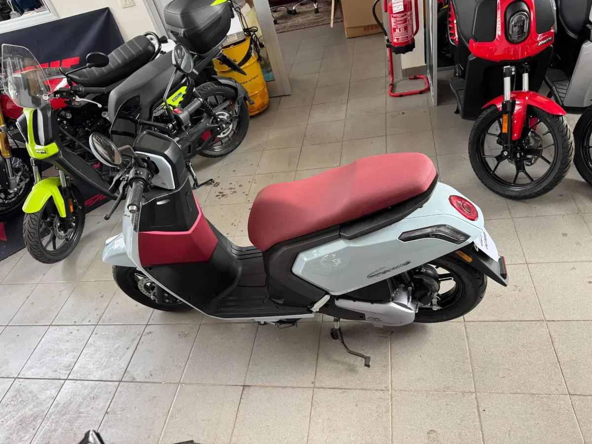 Kl Gemma 125 (2025 - 26) (6)