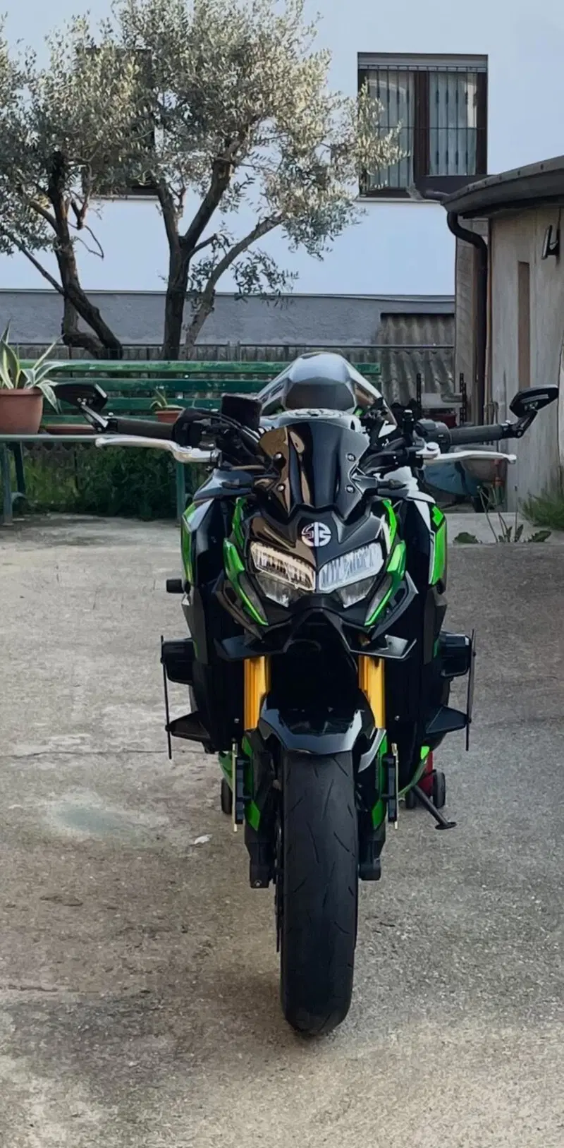 Kawasaki Z 900 SE (2022 - 24)
