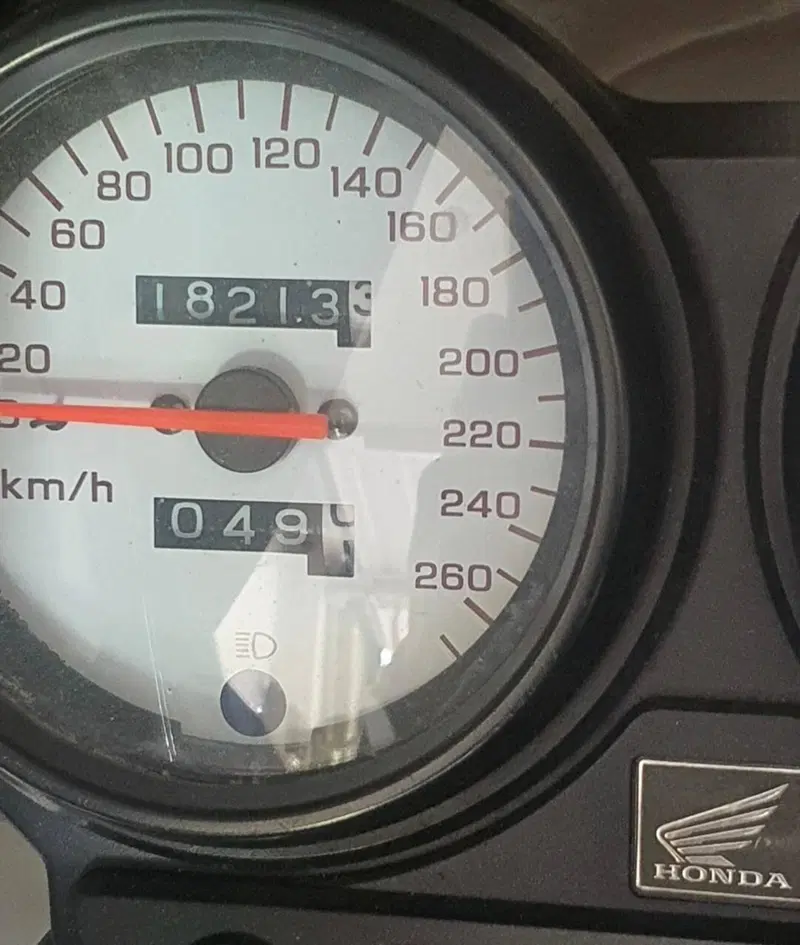 Honda Hornet 600 (2000 - 02)