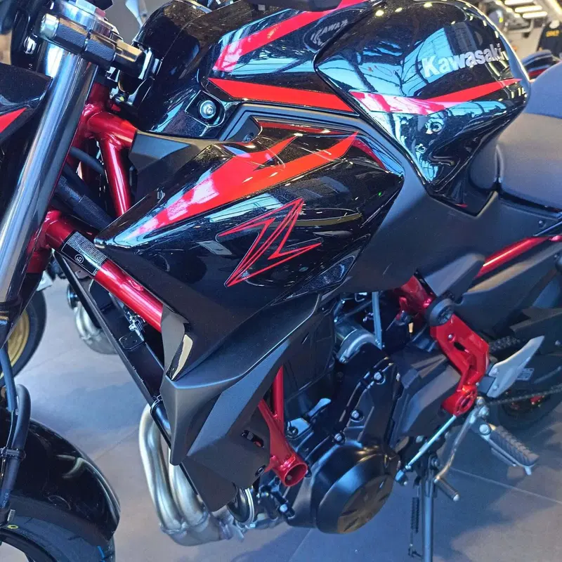 Kawasaki Z 650 (2025 - 26) (3)