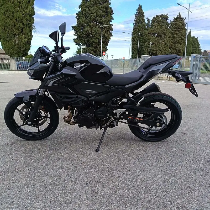 Kawasaki Z 500 (2024 - 26) (5)
