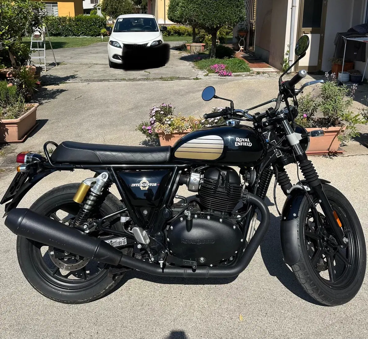 Royal Enfield Interceptor 650 (2021 - 26) (6)
