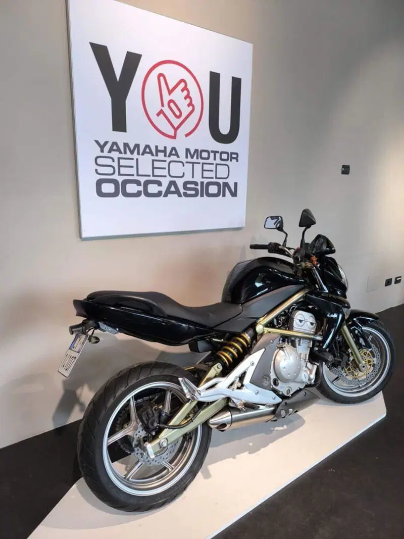 Kawasaki ER-6N (2005 - 08) (3)