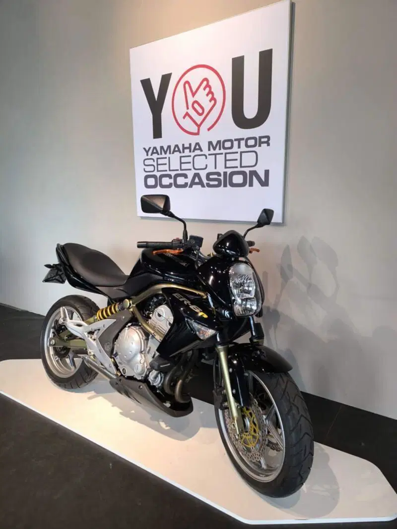 Kawasaki ER-6N (2005 - 08) (2)