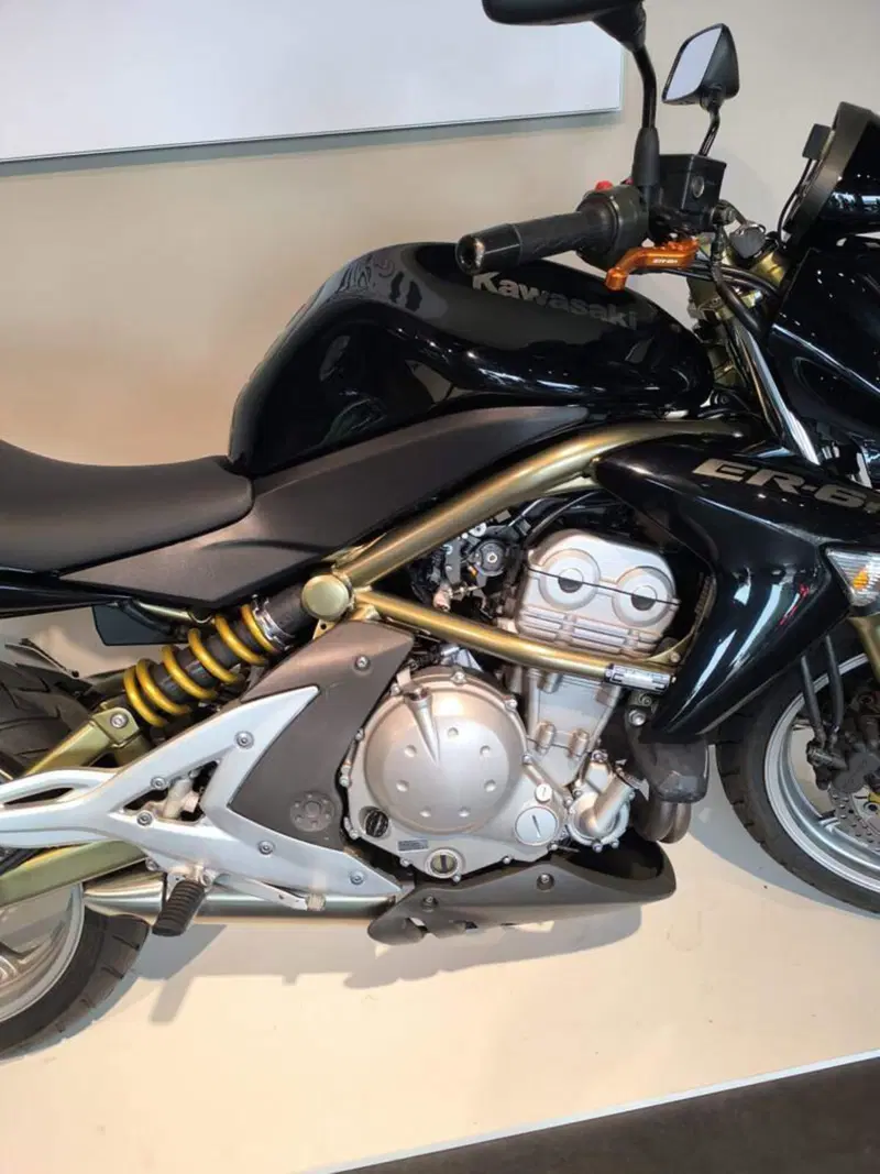 Kawasaki ER-6N (2005 - 08) (7)