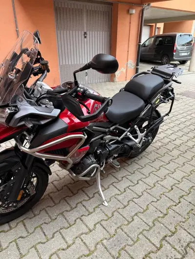 Triumph Tiger 1200 GT Pro (2024 - 26) usata