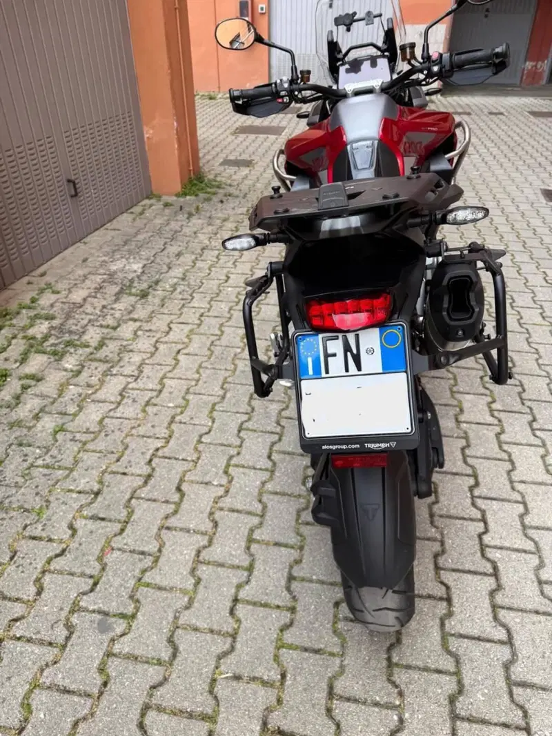 Triumph Tiger 1200 GT Pro (2024 - 26) (5)