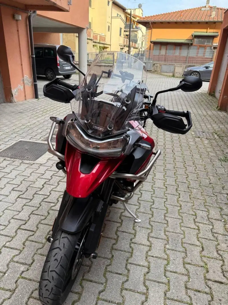 Triumph Tiger 1200 GT Pro (2024 - 26) (13)