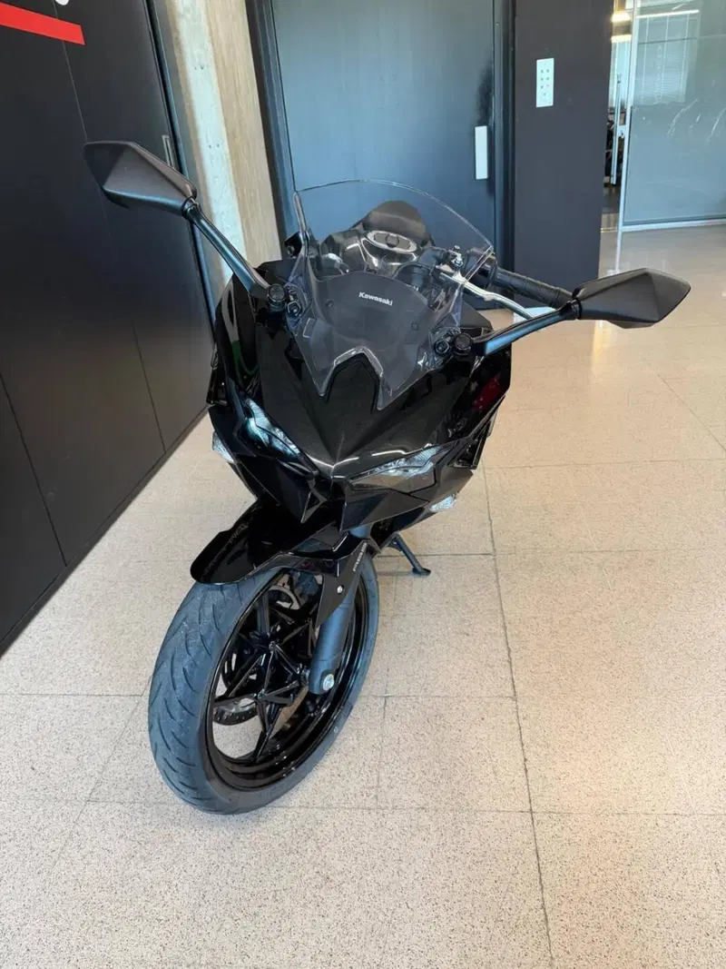 Kawasaki Ninja 500 (2024 - 26) (3)