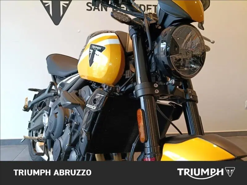 Triumph Trident 660 (2025) (9)