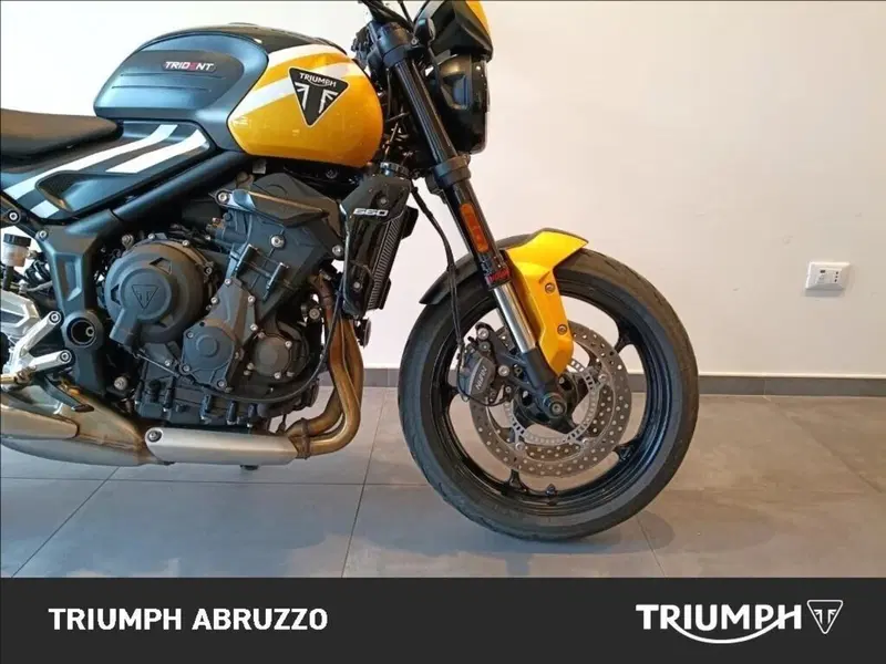 Triumph Trident 660 (2025) (5)