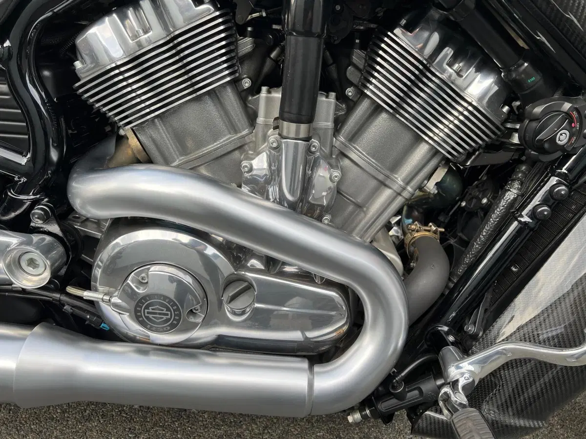 Harley-Davidson 1250 V-Rod Muscle (2009 - 17) - VRSCF (13)
