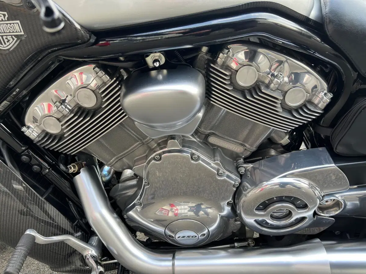 Harley-Davidson 1250 V-Rod Muscle (2009 - 17) - VRSCF (17)