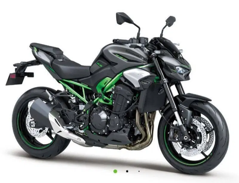 Kawasaki Z 900 (2025 - 26)