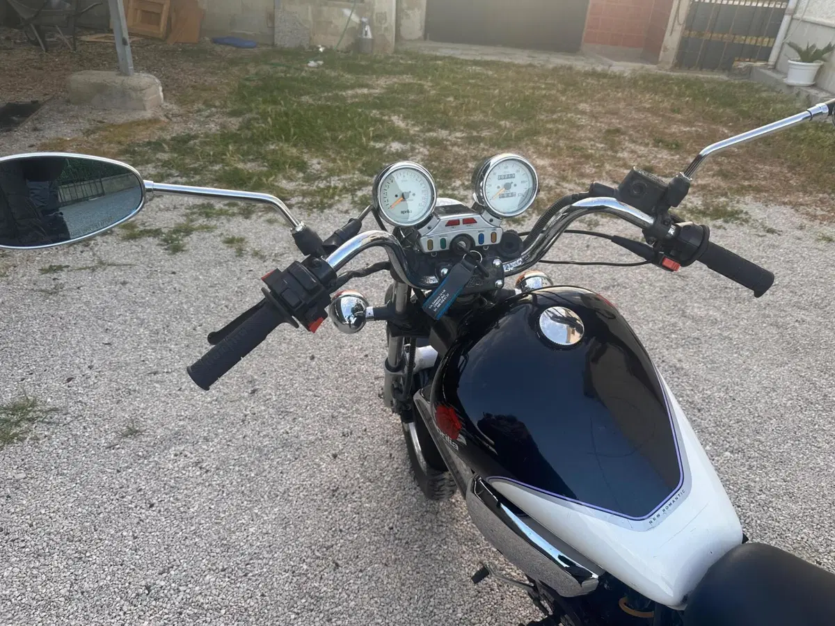 Aprilia Red Rose (2)