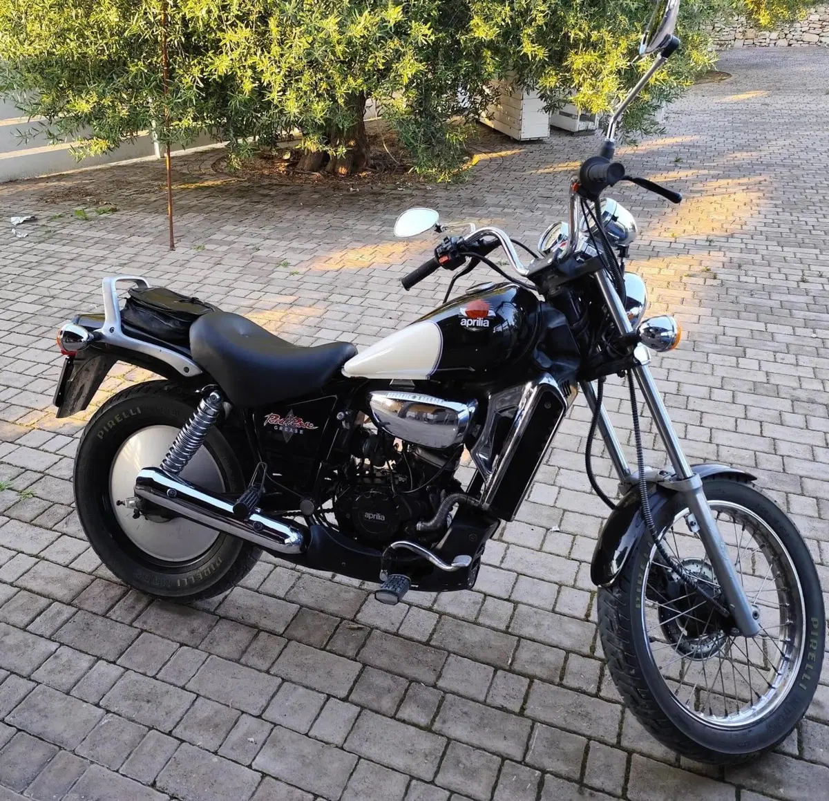 Aprilia Red Rose (5)