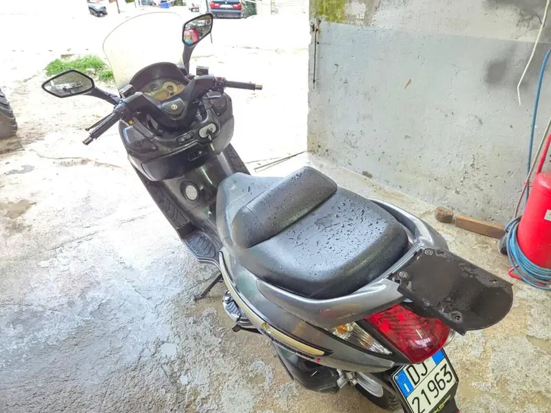 Sym Joymax 250 (2005 - 09) (4)