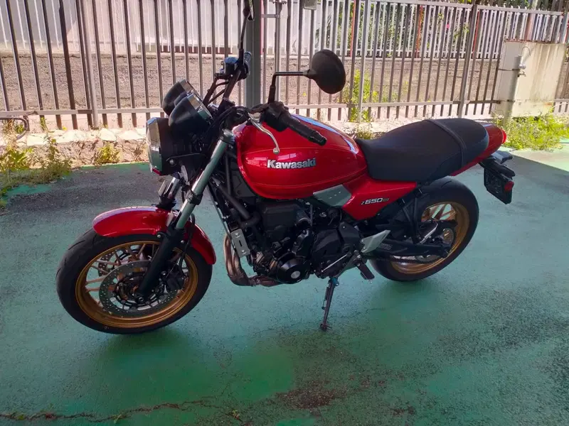 Kawasaki Z 650 RS (2025 - 26) (4)