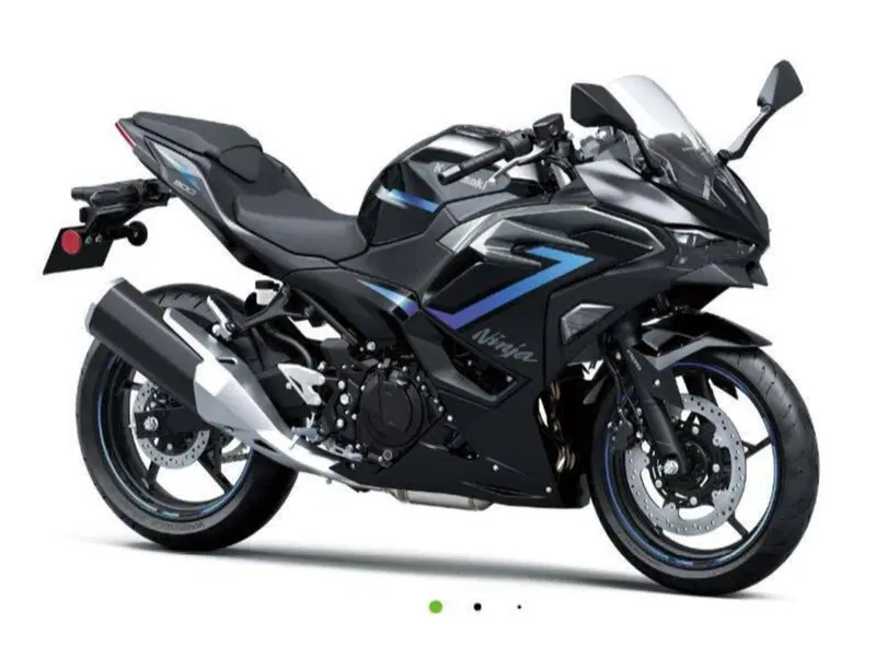 Kawasaki Ninja 500 SE (2024 - 26)