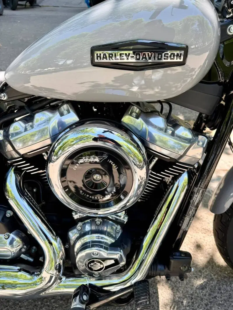 Harley-Davidson Street Bob 117 (2025 - 26) (8)