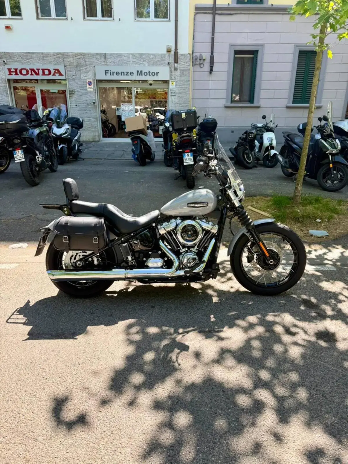 Harley-Davidson Street Bob 117 (2025 - 26)