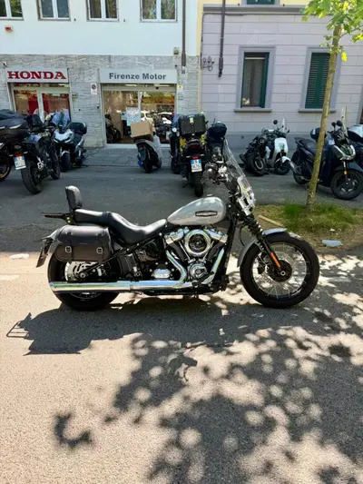 Harley-Davidson Street Bob 117 (2025 - 26) usata